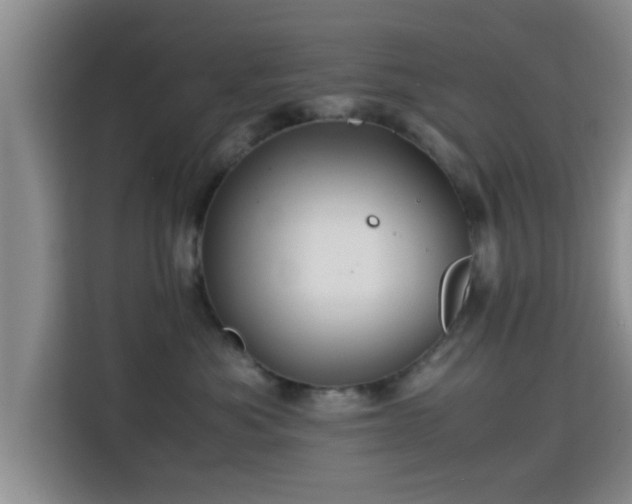 X0000115390525200911101455