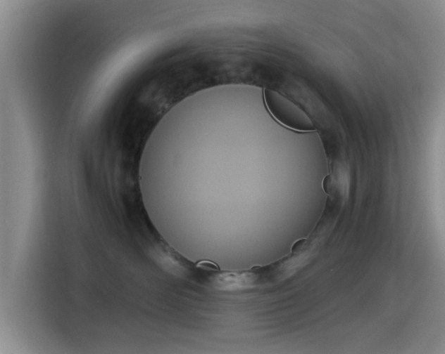 X0000115390526200911101455