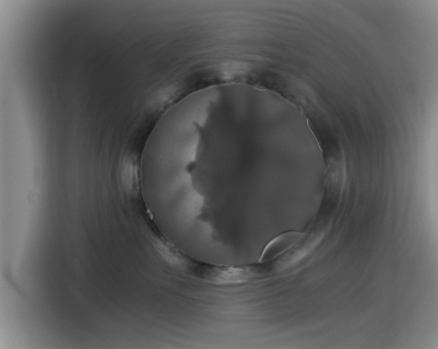 X0000115390527200911101455