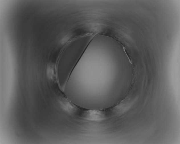 X0000115390528200911101455