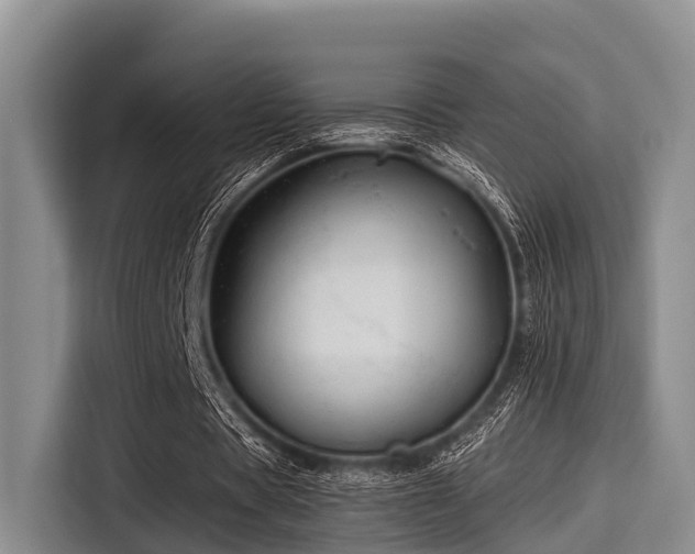 X0000115390529200911101454