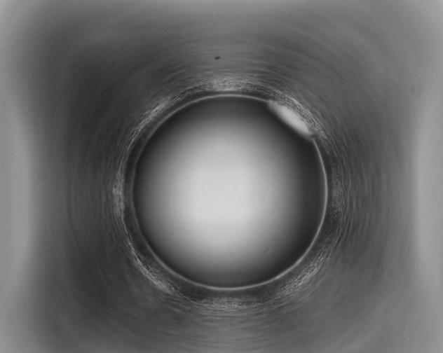 X0000115390530200911101454