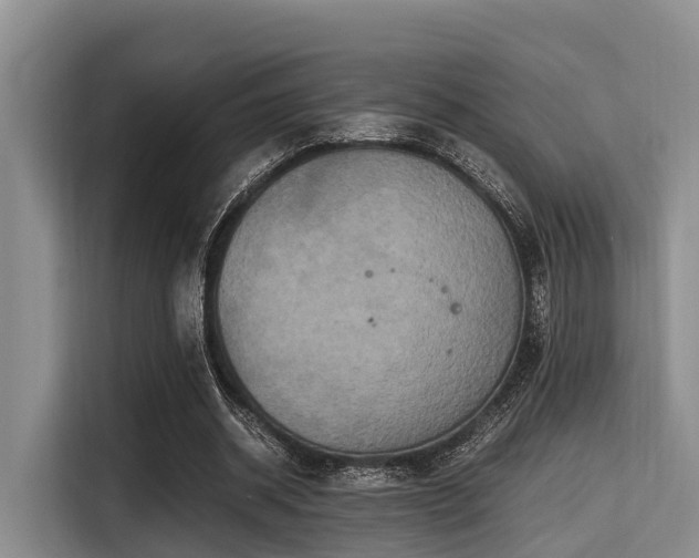 X0000115390534200911101454