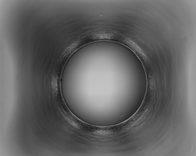 X0000115390537200911101454