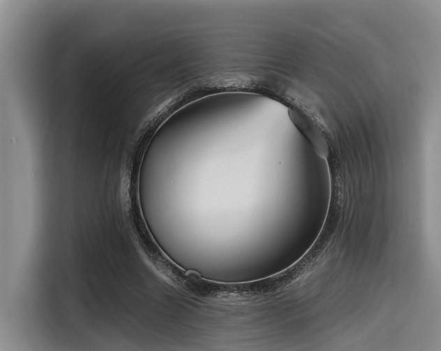 X0000115390538200911101454