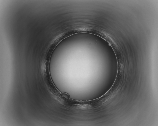 X0000115390539200911101454