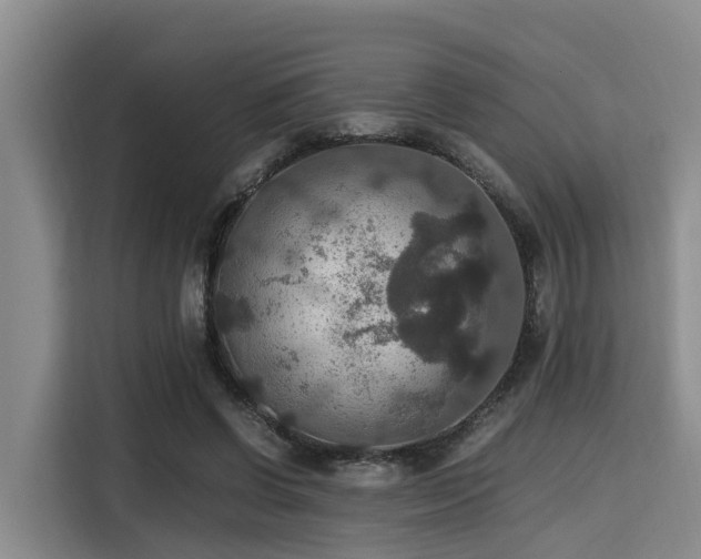 X0000115390542200911101454