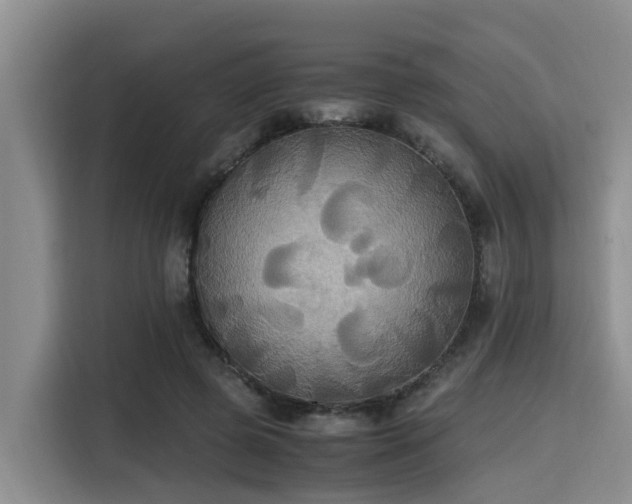 X0000115390545200911101454