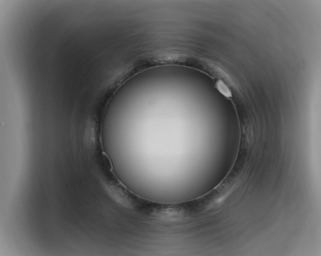 X0000115390546200911101454