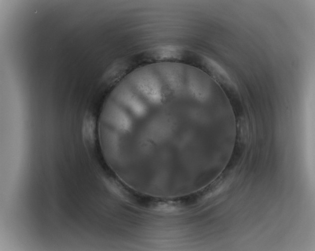 X0000115390550200911101454