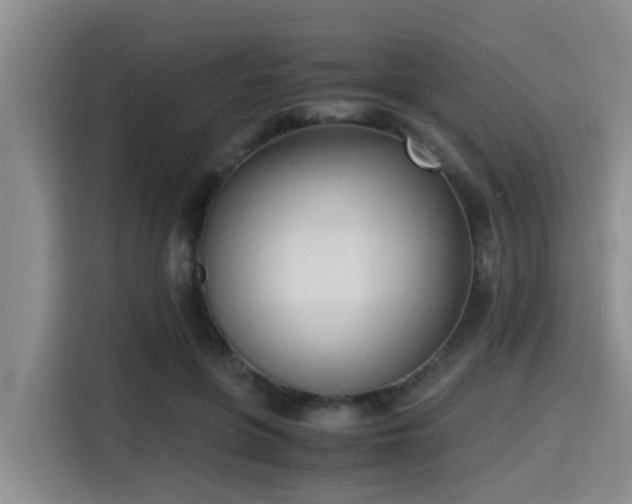 X0000115390551200911101454