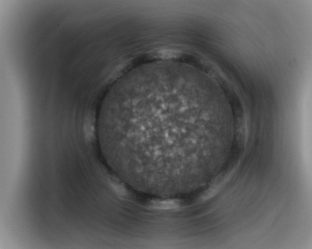 X0000115390553200911101454