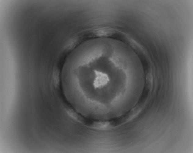 X0000115390554200911101454