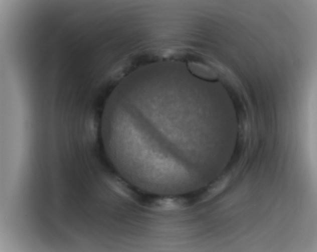 X0000115390558200911101454