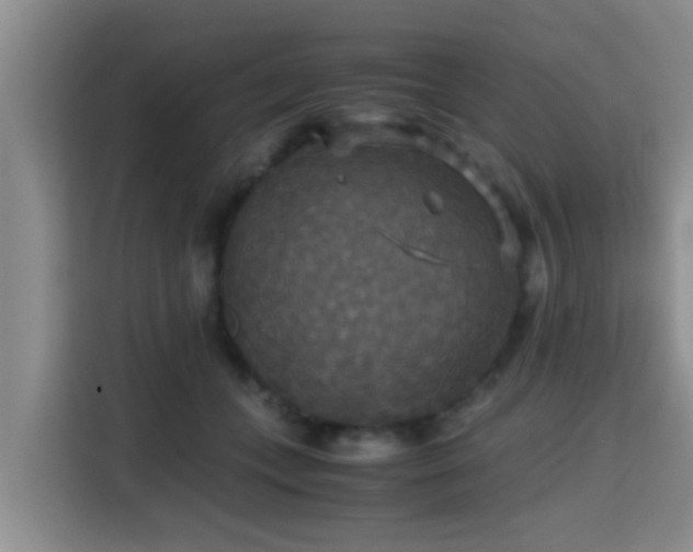 X0000115390559200911101454