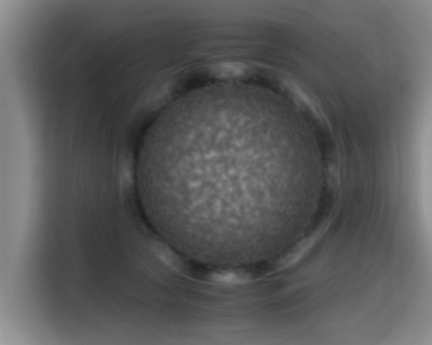 X0000115390561200911101454
