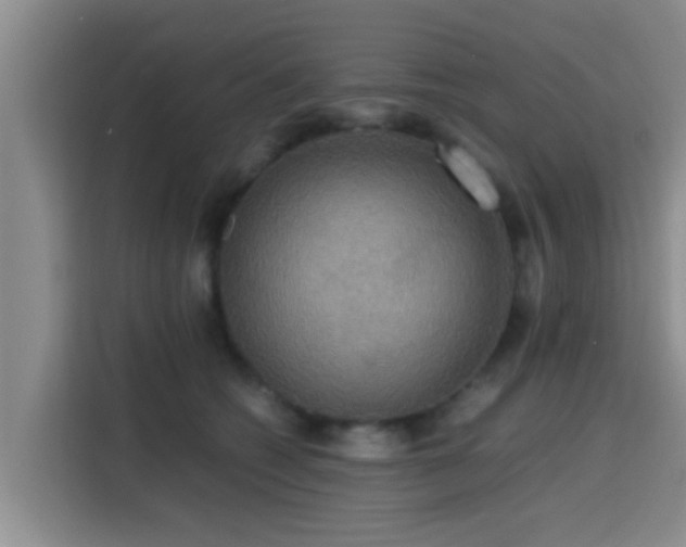 X0000115390562200911101454