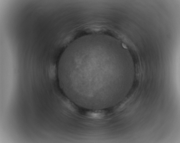 X0000115390563200911101454