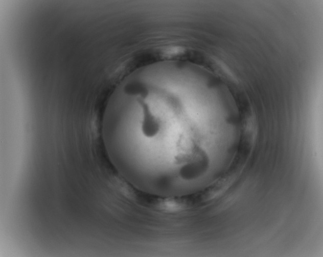 X0000115390565200911101454