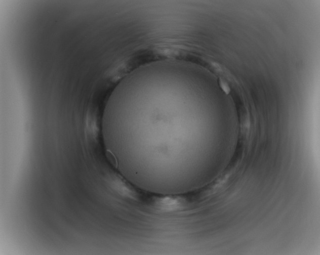 X0000115390566200911101454