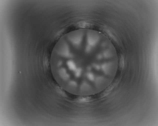 X0000115390569200911101454