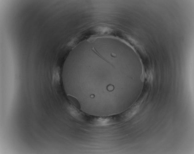 X0000115390570200911101454