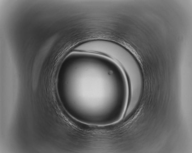 X0000115390577200911101454