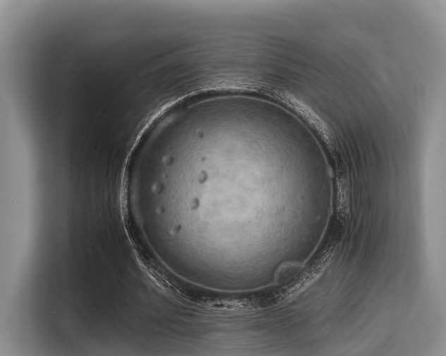 X0000115390580200911101454