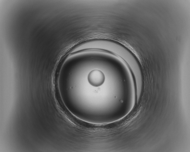 X0000115390581200911101454