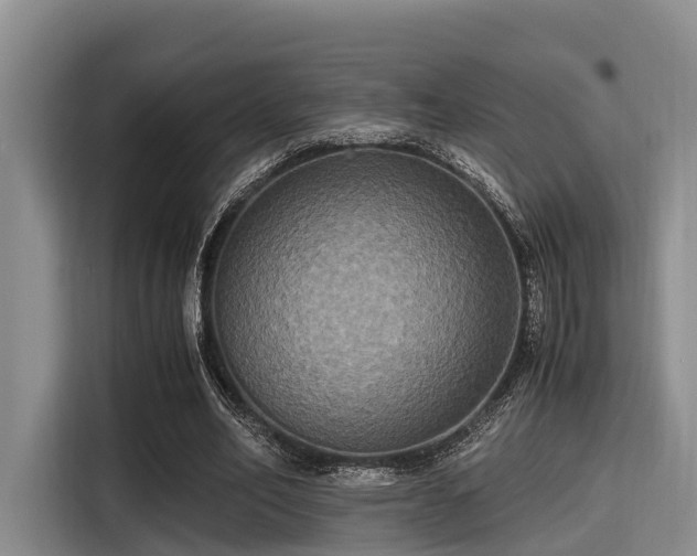 X0000115390582200911101454