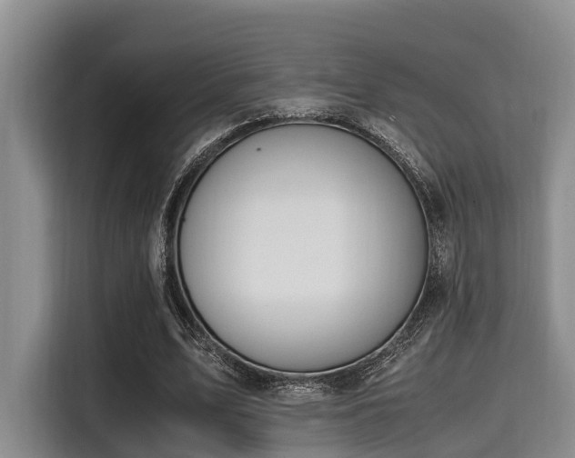 X0000115390583200911101454