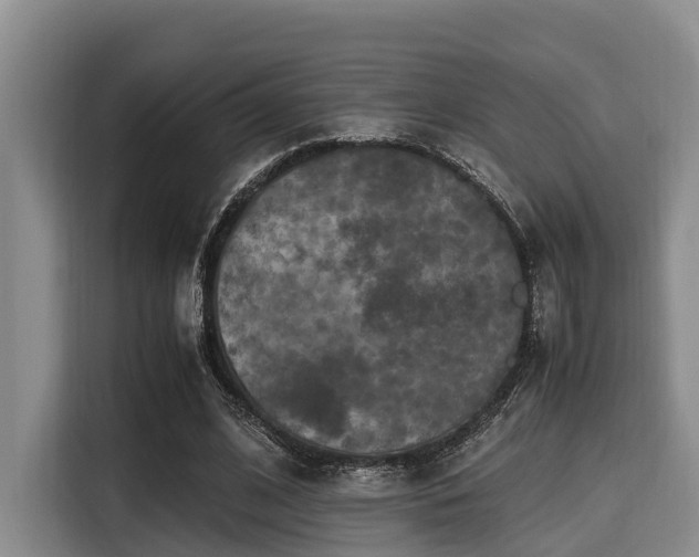 X0000115390584200911101454