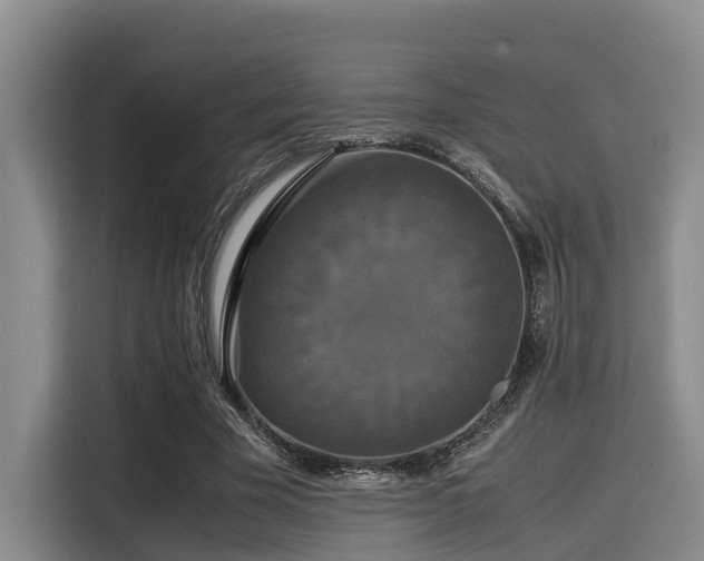 X0000115390585200911101454