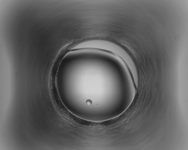 X0000115390587200911101454