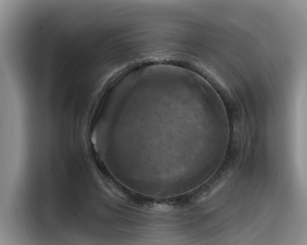 X0000115390592200911101454