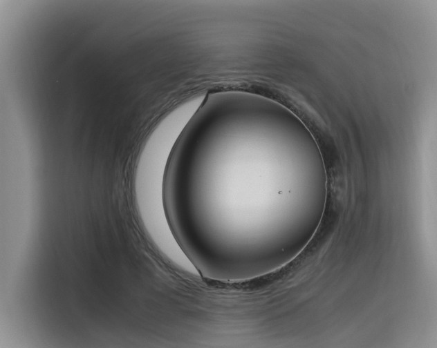 X0000115390593200911101454