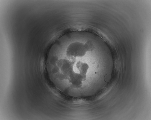 X0000115390594200911101454
