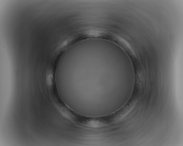 X0000115390596200911101454