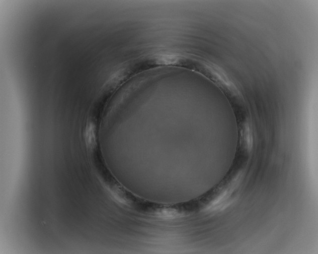 X0000115390598200911101454