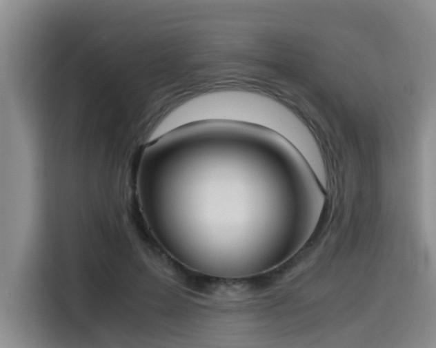X0000115390599200911101454