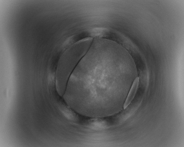 X0000115390601200911101454