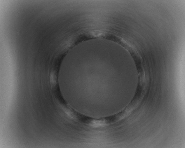 X0000115390606200911101454