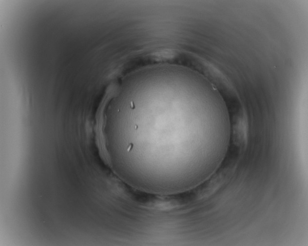 X0000115390608200911101453