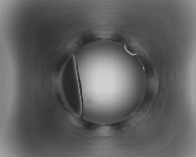 X0000115390609200911101453