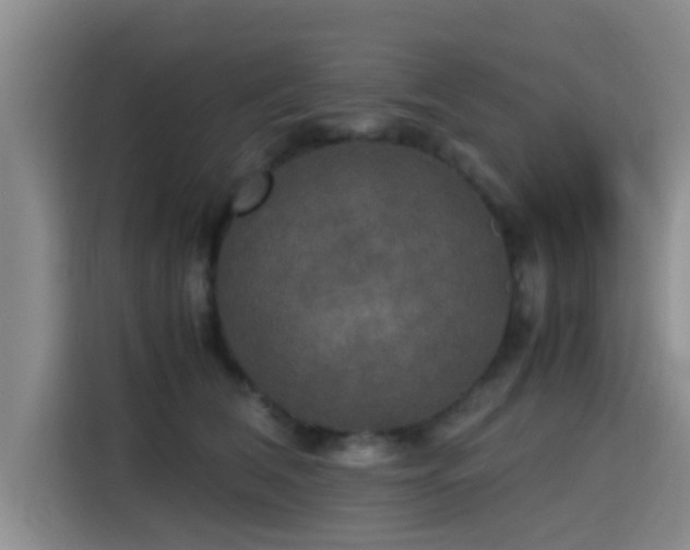 X0000115390612200911101453