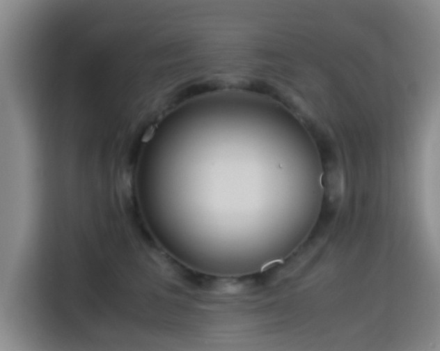 X0000115390613200911101453