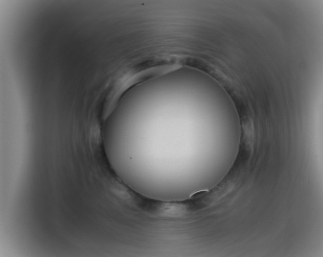 X0000115390617200911101453