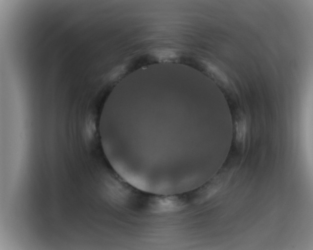 X0000115390618200911101453