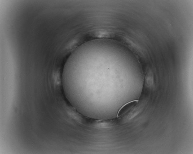 X0000115390620200911101453