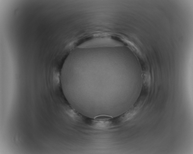 X0000115390621200911101453